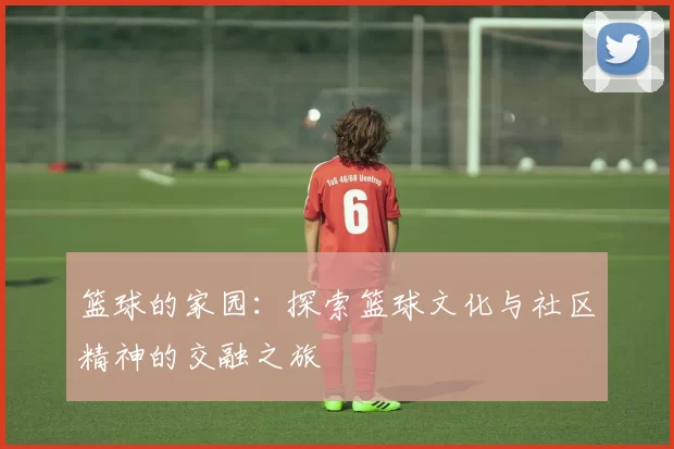 篮球的家园：探索篮球文化与社区精神的交融之旅