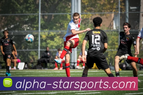 星空体育服务体系